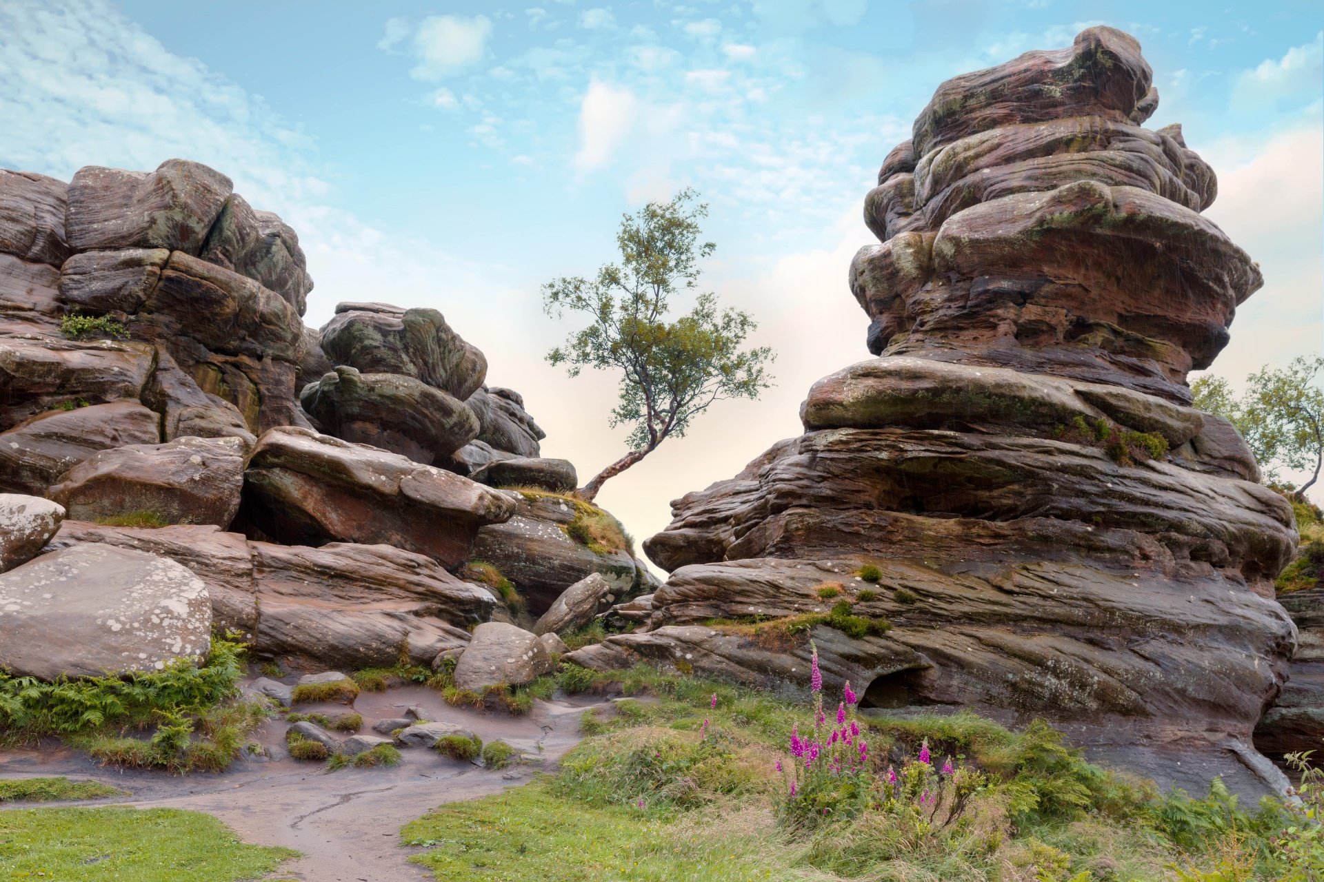 Brimham Rocks